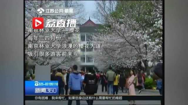 南京评出2018年十大“最美高校” 你的学校上榜了吗?