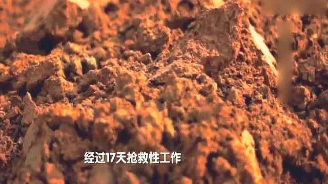 叶家山100米之内竟有24座古墓,出土的青铜器暗示墓主人身份崇高