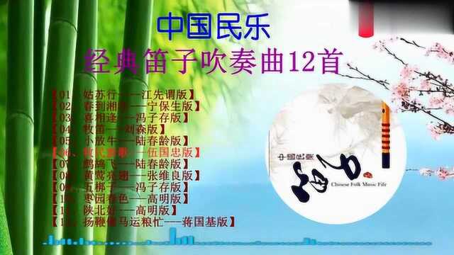 中国民乐经典笛子吹奏曲12首