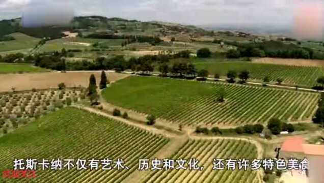 “葡萄酒之王者, 王者之葡萄酒”, Barolo是一瓶贵族们喜爱的酒!