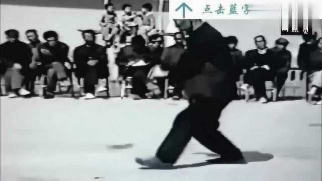 形意拳十二形,老一辈武术家演练的经典视频,建议珍藏