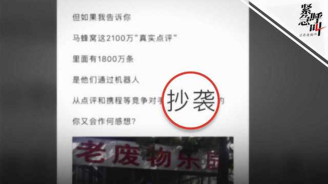 马蜂窝用户评论被指超八成造假 爆料人:本意想用马蜂窝训练模型