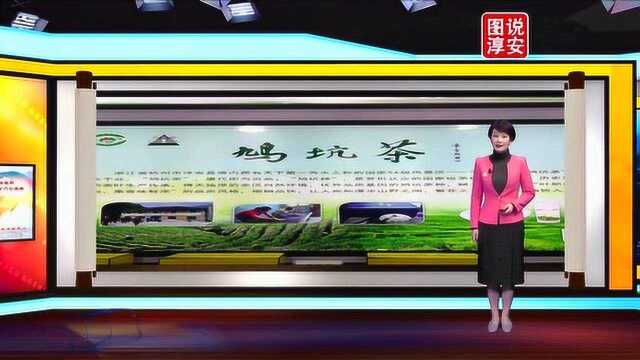 《图说淳安》第1023期