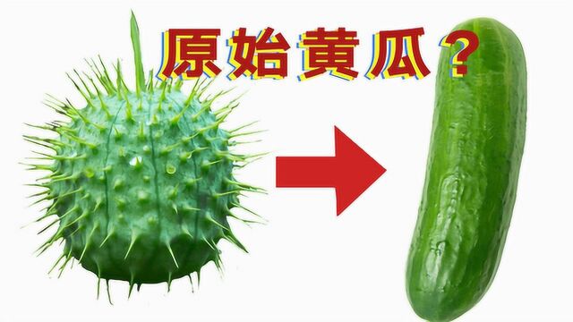 6种食物的祖先!古代水果是什么样子的?