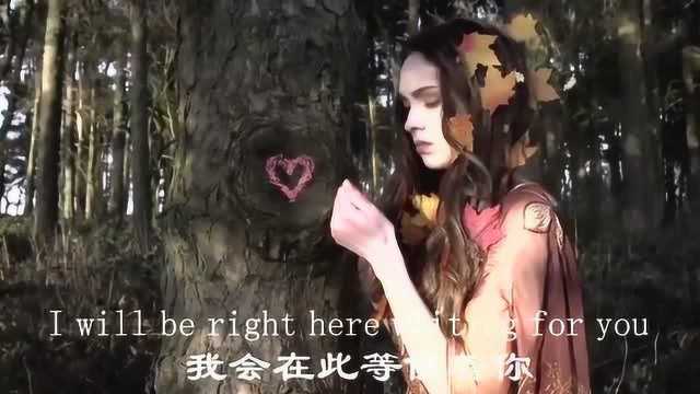 永恒的经典名曲《此情可待》理查德.马克斯原唱,听一遍感动一生!