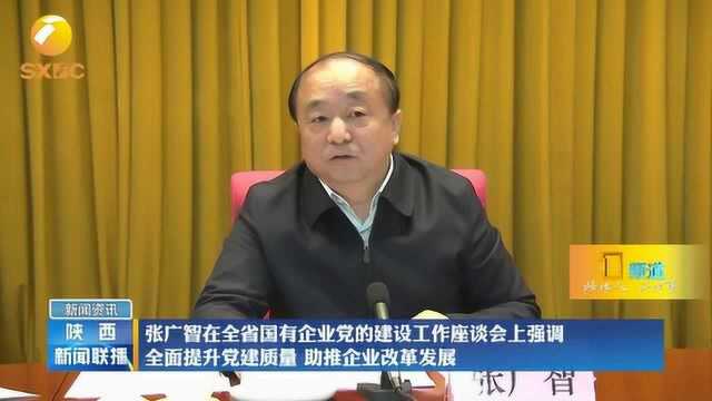 陕西省委组织部部长张广智:全面提升党建质量,助推企业改革发展