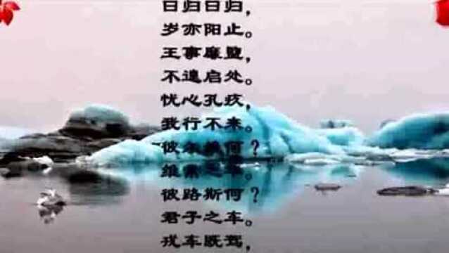 诗经《采薇》诵读教学版