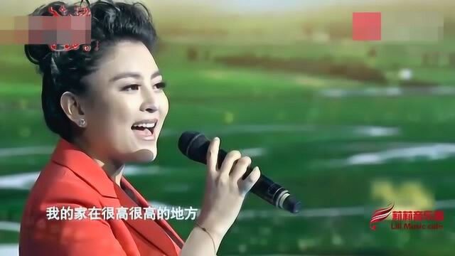 阿鲁阿卓现场演唱《家园》,唱的太好听了,歌声豪迈霸气!