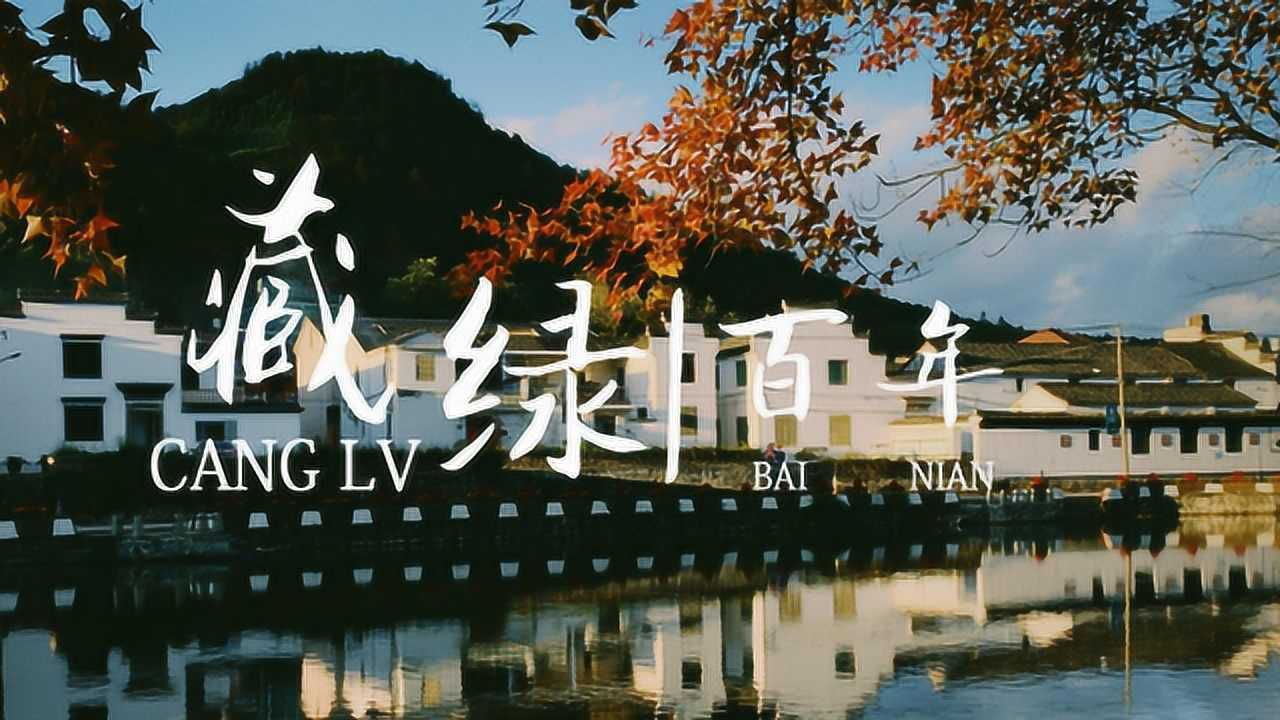 美丽乡村在浙里绍兴诸暨百年藏绿