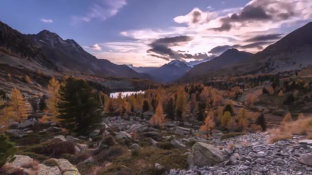 四季茶事,每个季节都有美丽的风景