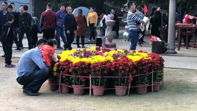 春节揭阳市炮台镇风门古径热闹非凡