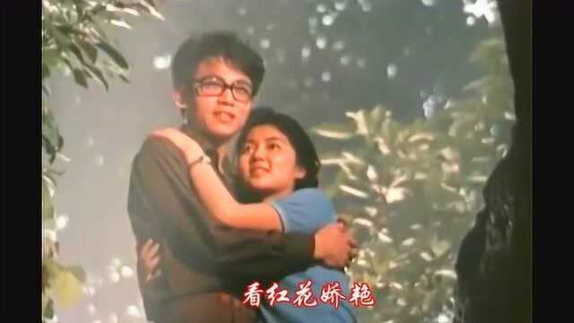 1980年《神女峰的迷雾》主题曲,朱逢博演唱,绵绵情意无声倾诉