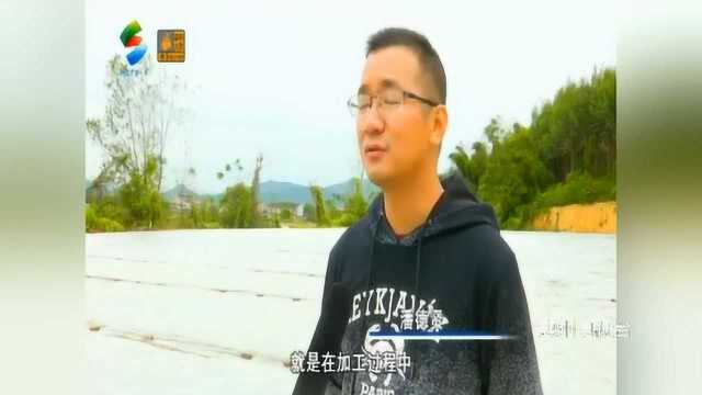 惠州人的乡愁味道:梅菜