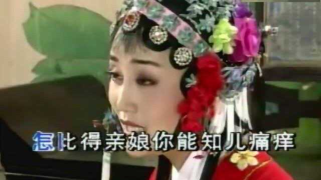 越剧《碧玉簪》归宁选段,太精彩了