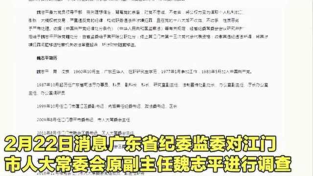 涉嫌受贿罪广东省江门市人大常委会原副主任魏志平被双开