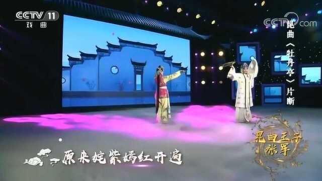 青年昆曲演员张冉,现场《牡丹亭》选段,好美好好看!