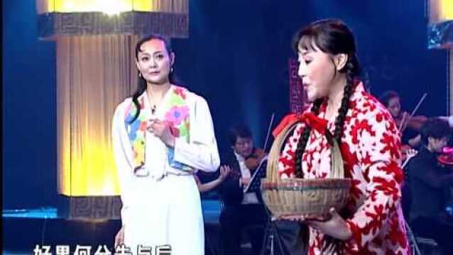 梨园春:辛艾演唱豫剧《红果,红了》选段“山里红,红艳艳”