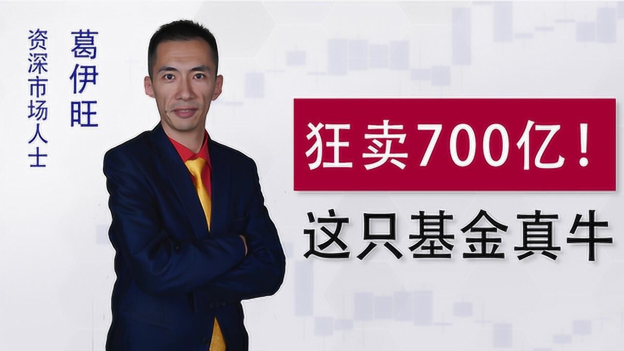 疯狂!新基金一天冻资700亿!散户力量抬牛市?腾讯视频