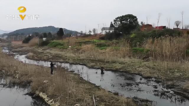 湘潭水府旅游区管委会铁腕打击非法捕鱼,为生态文明建设保驾护航