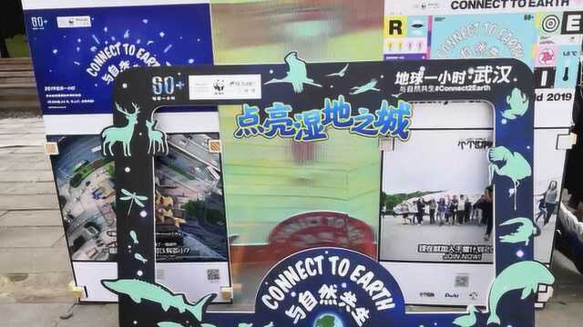 知名环保机构草莓音乐节上推广“地球1小时”:与自然共生