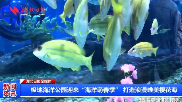 极地海洋公园迎来“海洋萌春季” 打造浪漫唯美樱花海