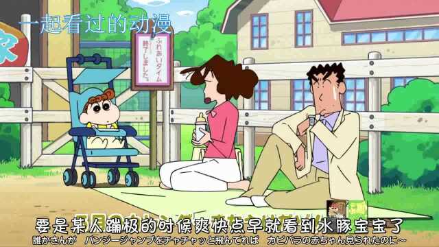 看不到羊驼,小新好后悔,锤打地上痛喊八嘎雅鹿