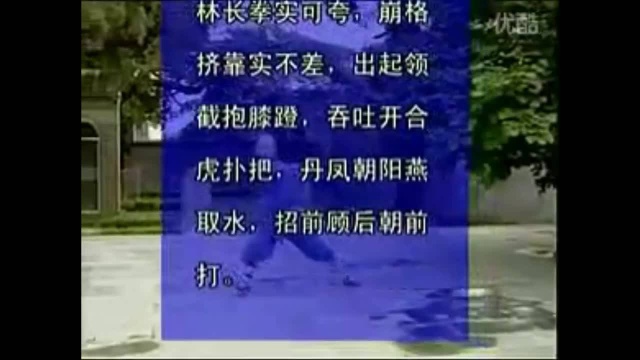 民间传统功夫少林太祖长拳,古代开国皇帝多年战场总结的拳法!