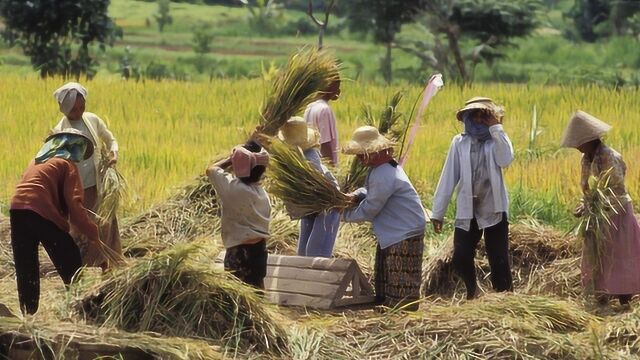 农村人常说的“万物土中生”,你知道它的意思吗?下半句才是关键!