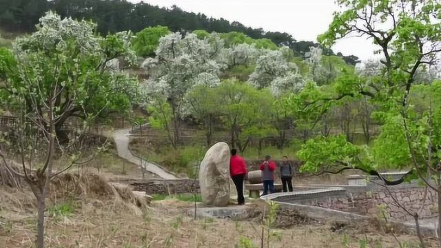 承德双滦区陈栅子乡第六届海棠花节开幕