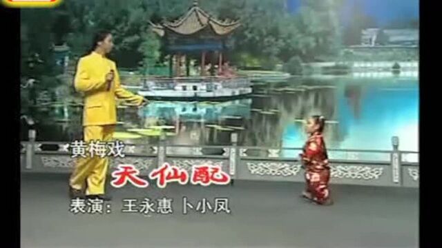 小矮人卜小凤表演天仙配现场版