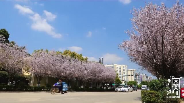 幸福隆阳——大美山川