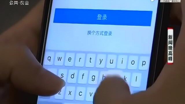 广西南宁:女子用“陌陌”交友 却遭损友刷走4万多信用贷款