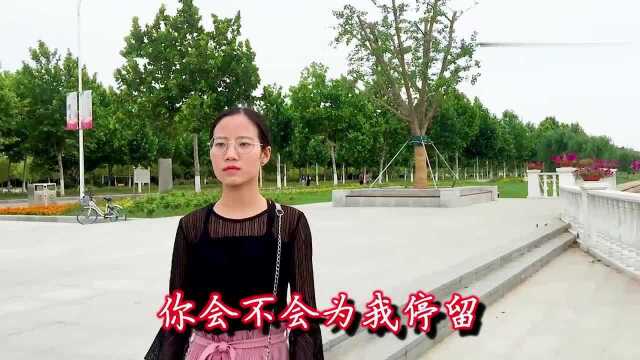 一首DJ歌曲《放开手放开爱》伤感,听哭了天下痴男怨女!