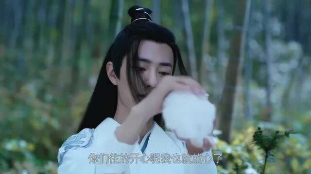 《陈情令》魏无羡逗兔子玩,手上动作太有爱,想做他手里的兔子