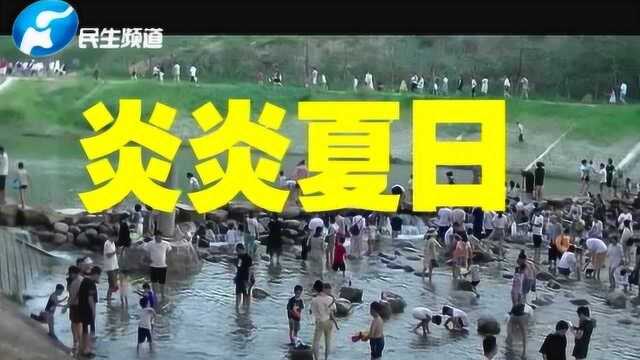 天热玩水!贾鲁河河道变浴场,市民河水中嬉戏 这种行为太危险