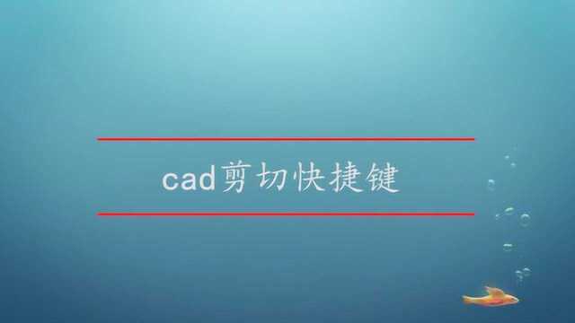 cad剪切快捷键