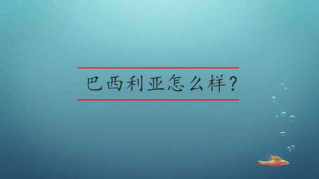 巴西利亚怎么样?