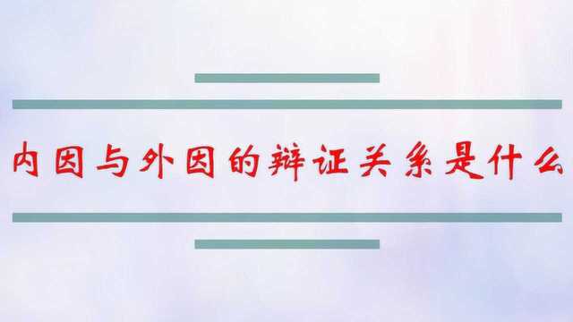 内因与外因的辩证关系是什么?