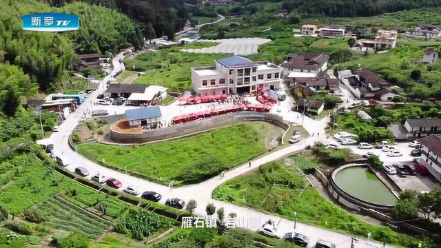 龙岩市新罗区“寻龙探秘,生态采摘”活动