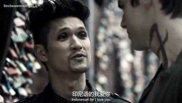 【美剧暗影猎人】第三季第十九集 Magnus & Alec 剪辑(上)