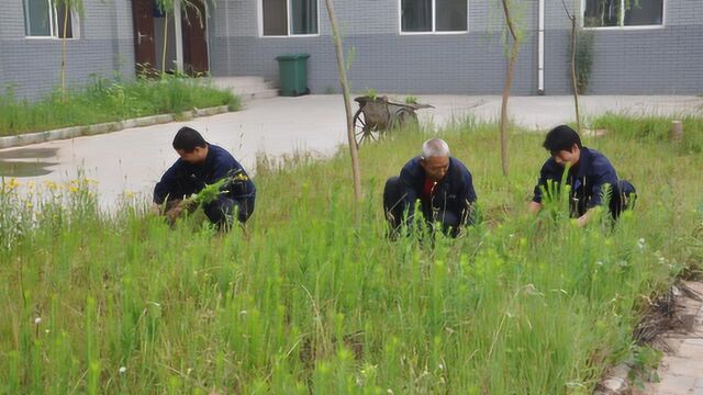 杂草太多不用着急,除草剂自己在家就能做,每年能省下不少钱