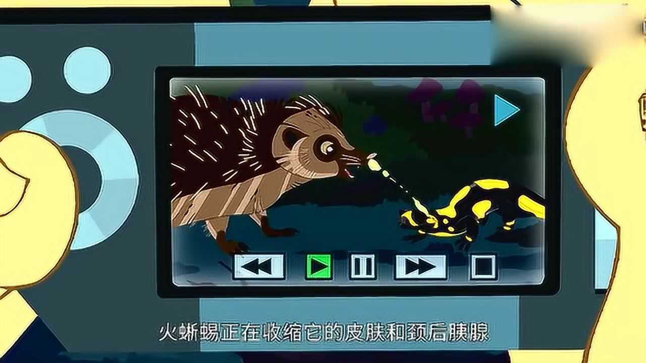 动物兄弟面对刺猬的攻击火蜥蜴直接使用了化学武器