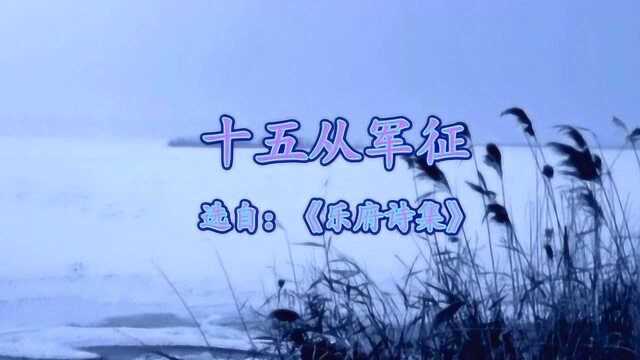 《十五从军征》乐府诗集 物是人非事事休欲语泪先流