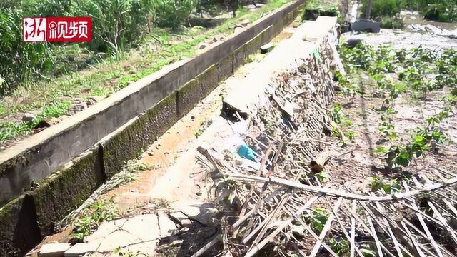 寻访台风中“最美身影” 记者亲历苍岩村灾后重建