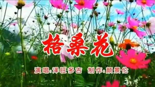 泽旺多吉《格桑花》,藏族歌曲,好听!