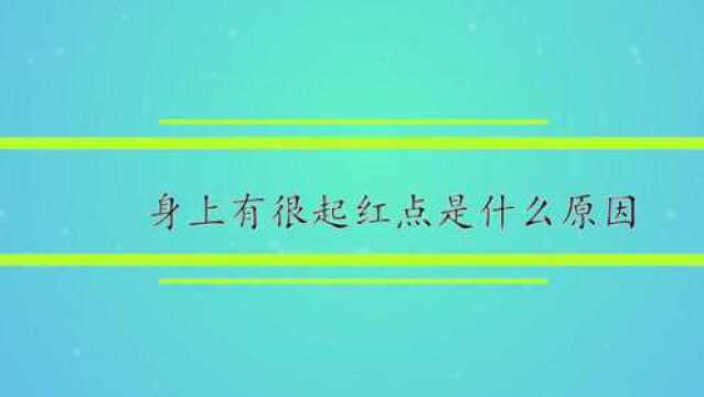 身上起红点是什么原因