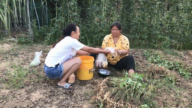 农村婆婆地里摘花生,媳妇去帮忙,还不忘给婆婆带早餐吃