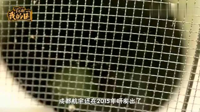 中国金属铼单晶叶片研制成功,国产战斗机将彻底甩掉心脏病