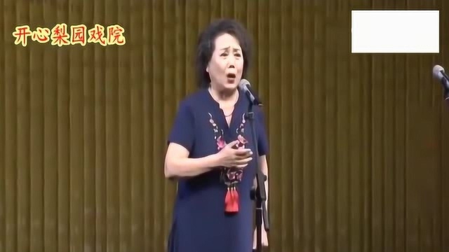 京剧戏曲《红灯记》十七年风雨狂演唱李全伴奏王志林