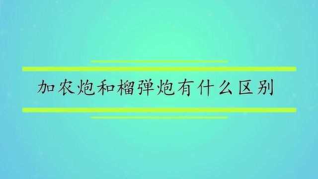 加农炮和榴弹炮有什么区别